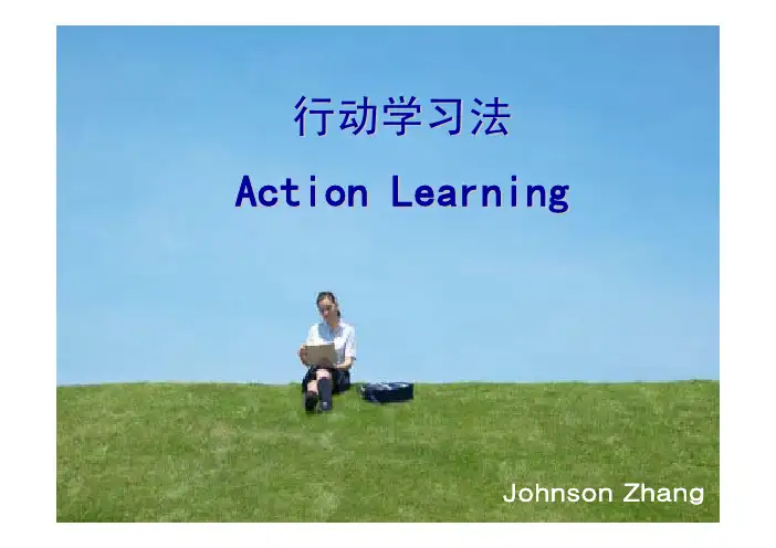 行动学习