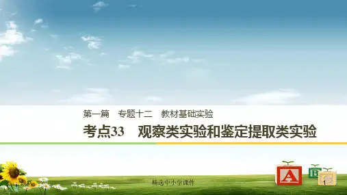 精选-高考生物二轮复习专题十二教材基础实验考点33观察类实验和鉴定提取类实验课件(1)