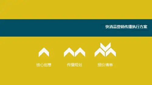 快消品营销传播执行方案【顶级版】