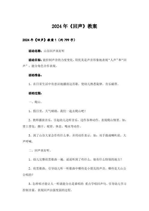 2024年《回声》教案_2
