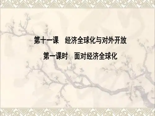 高中政治4.11.1面对经济全球化课件新人教版必修1