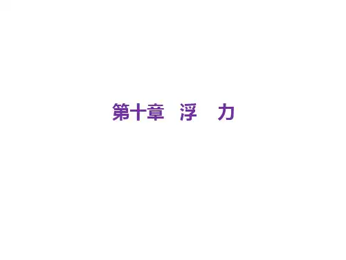 新人教版总复习第10章《浮力》ppt课件