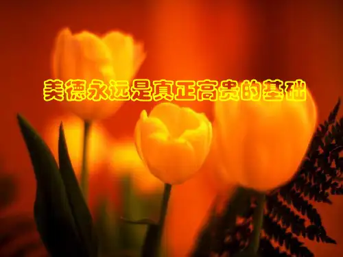 品德——立身之本