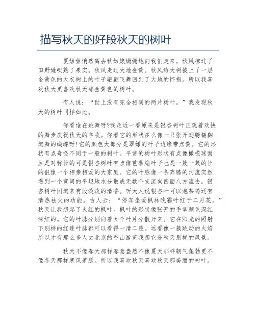 描写秋天的好段秋天的树叶