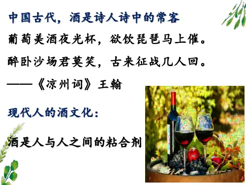 传统发酵技术的应用果酒的制作