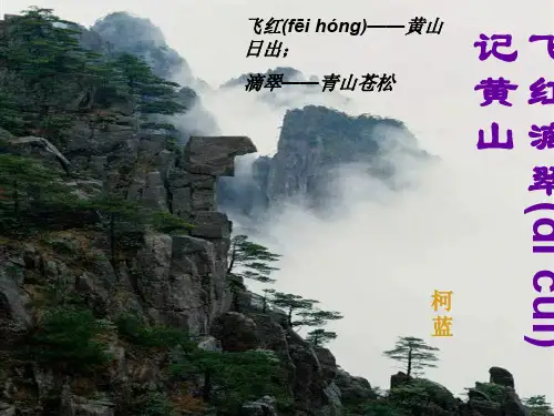 九年级语文上册 3 飞红滴翠记黄山课件 苏教版