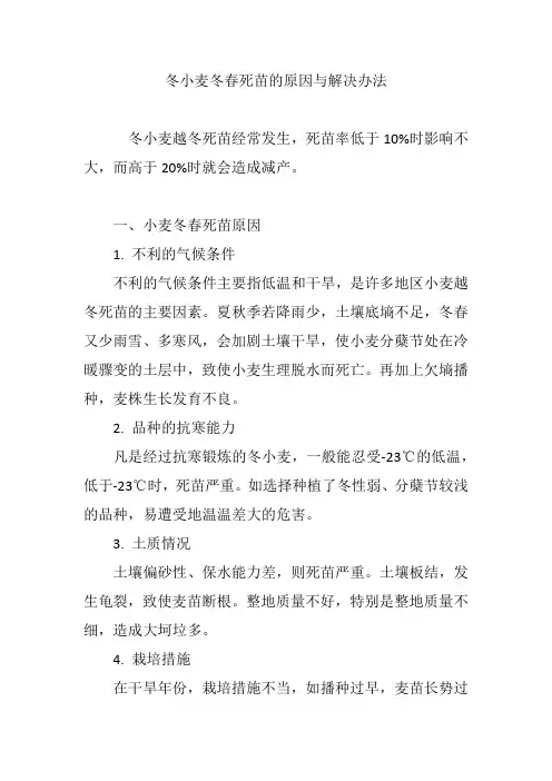 冬小麦冬春死苗的原因与解决办法