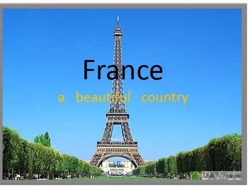 france介绍法国的英文ppt