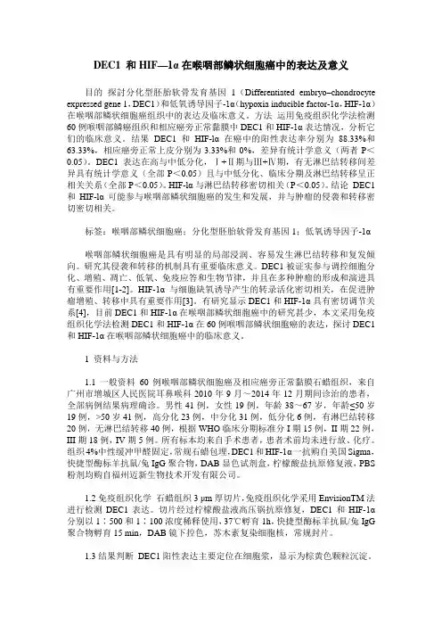 DEC1 和HIF—1α在喉咽部鳞状细胞癌中的表达及意义