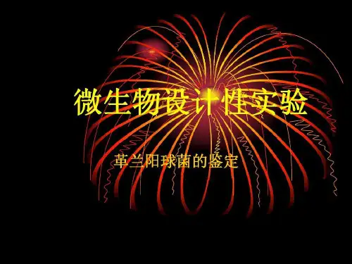 微生物学检验(第3版)葡萄球菌微生物设计性实验共40页文档