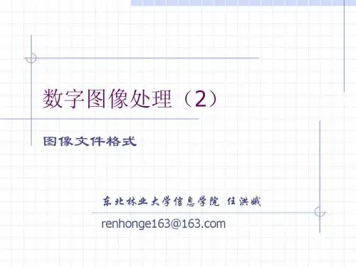 图像文件格式