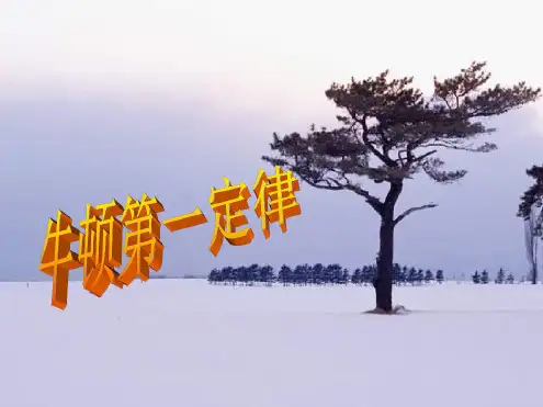 高一物理牛顿第一定律2