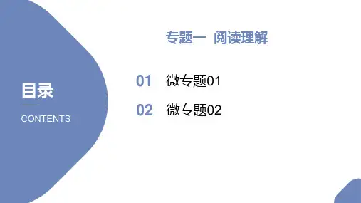高中英语高考新高考英语二轮复习课件 专题一 阅读理解(111张PPT)