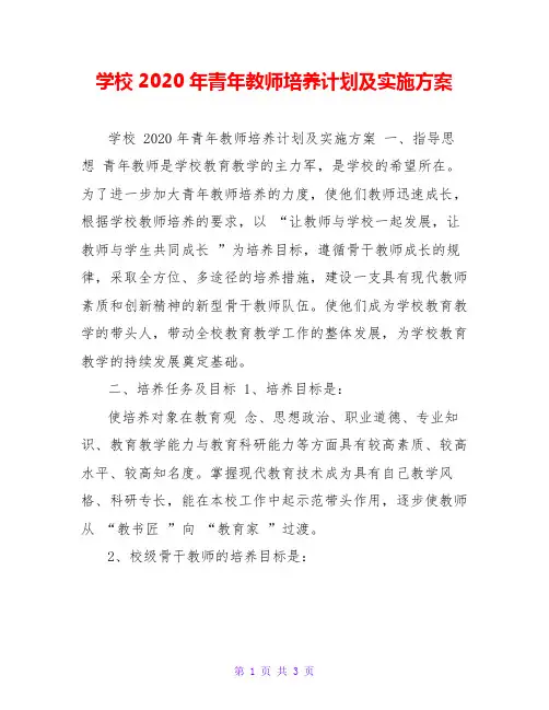 学校2020年青年教师培养计划及实施方案