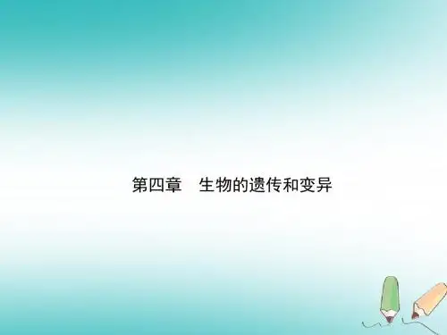 (济宁专版)中考生物第四单元第四章复习课件