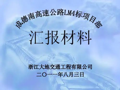 路面专题会议汇报材料