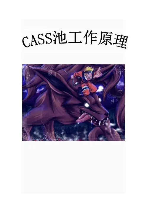 CASS池工作原理