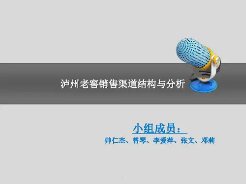 营销渠道结构与分析