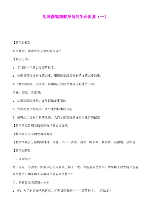 六年级科学下册 用显微镜观察身边的生命世界(一)教案 教科版