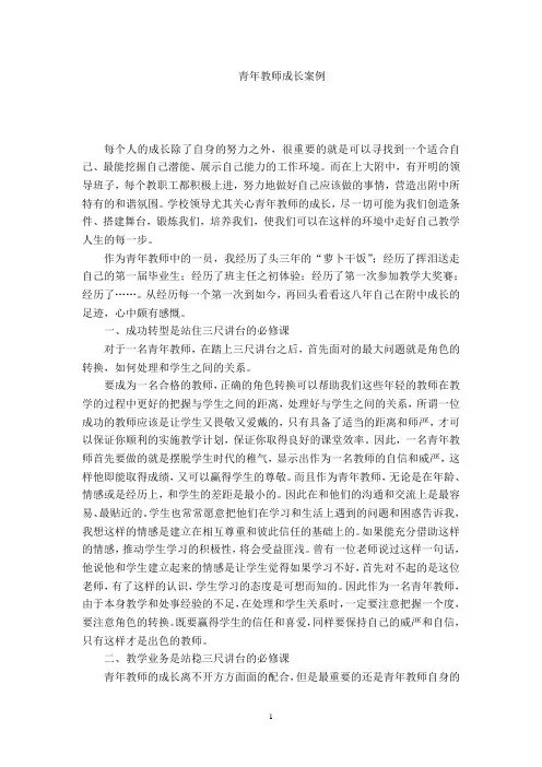 青年教师成长案例