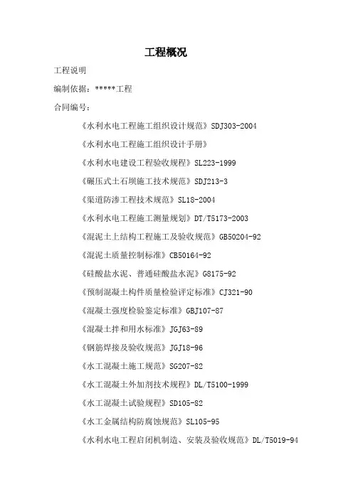水利技术标范本1