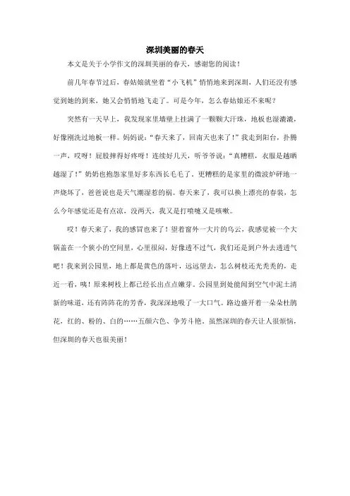 深圳美丽的春天_小学作文
