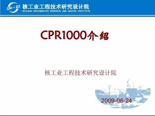 CPR1000介绍