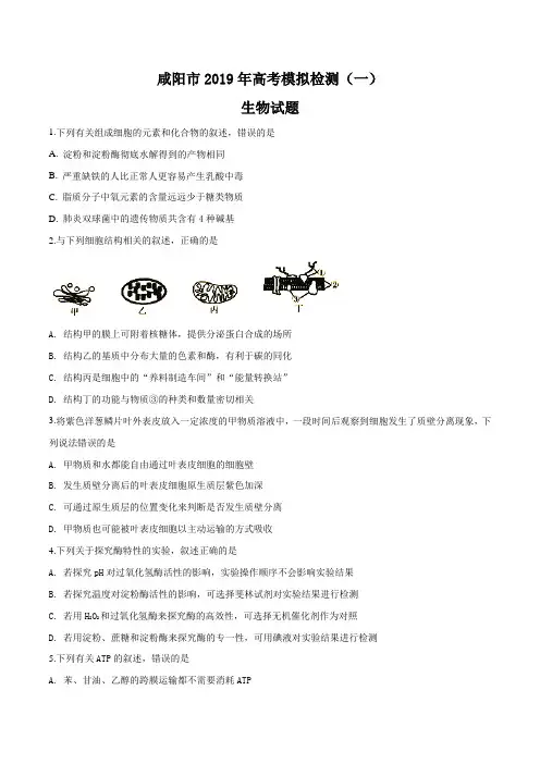 【市级联考】陕西省咸阳市2019届高三下学期高考模拟检测(一)生物试题(原卷版)