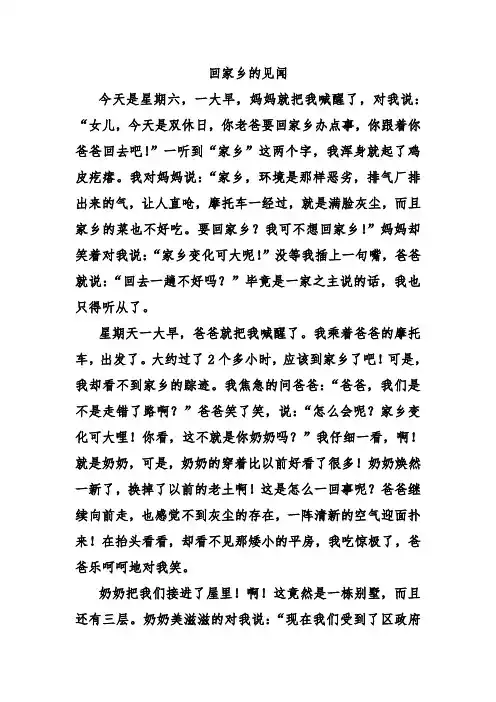 回家乡的见闻