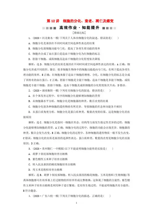 生物一轮复习 第四单元 细胞的生命历程 第12讲 细胞的分化、衰老、凋亡及癌变高效作业 新人教版