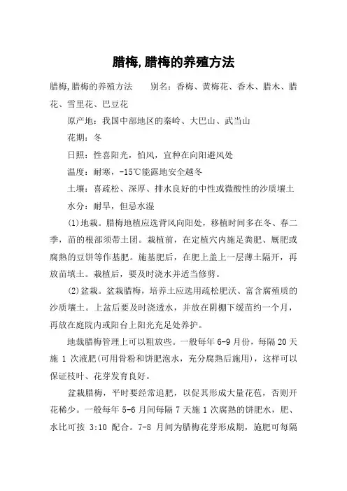 腊梅,腊梅的养殖方法