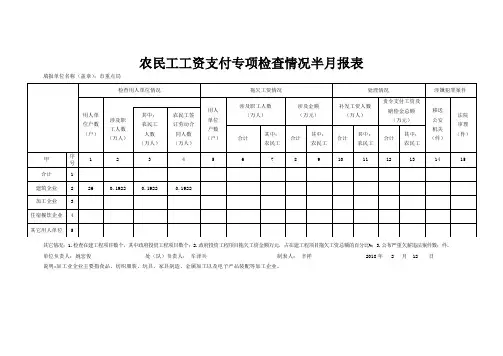 农民工工资支付专项检查半月报表