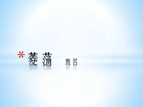 菱荡 废名