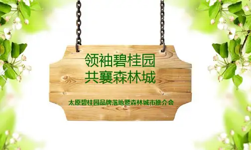 碧桂园产品推介会-项目推介方案