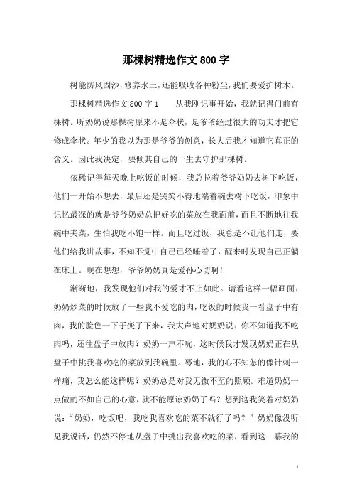 那棵树精选作文800字