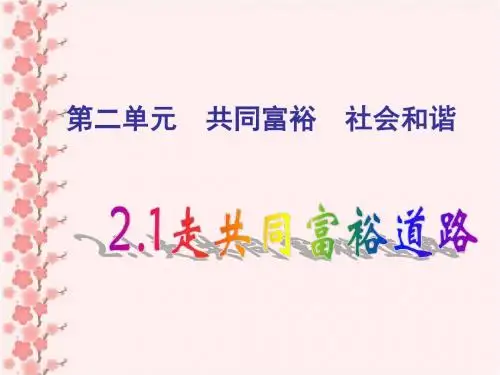 粤教版九年级政治全册《2.1 走共同富裕道路》课件2 (共28张PPT)