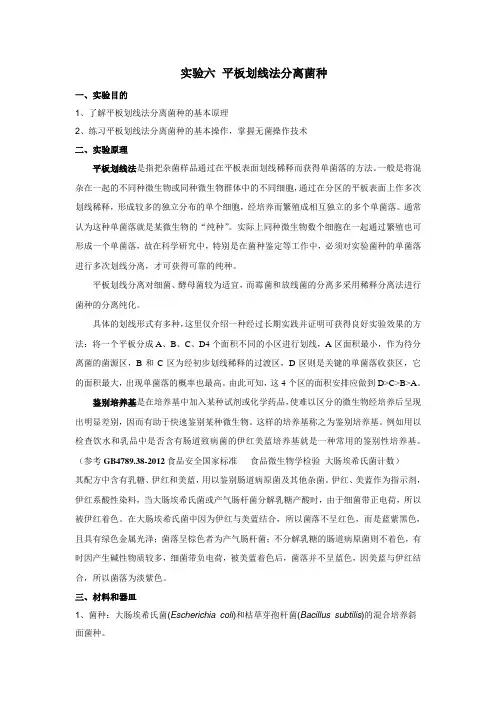平板划线法分离菌种
