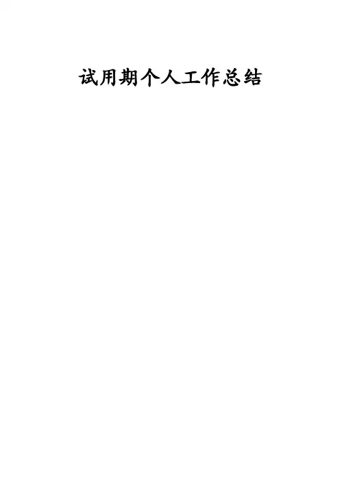 试用期个人工作总结