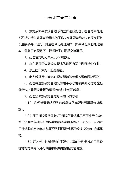 盲炮处理管理制度