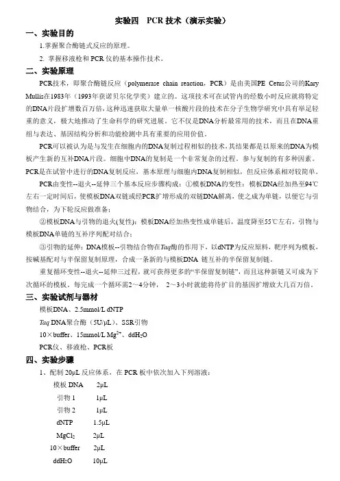 PCR技术(演示实验)