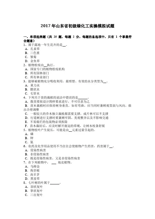 2017年山东省初级绿化工实操模拟试题