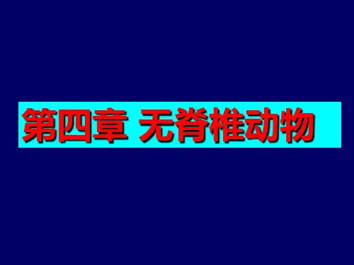 第四章12 无脊椎动物-原生动物与腔肠动物