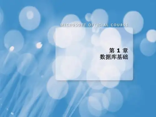 sql server 2008概述