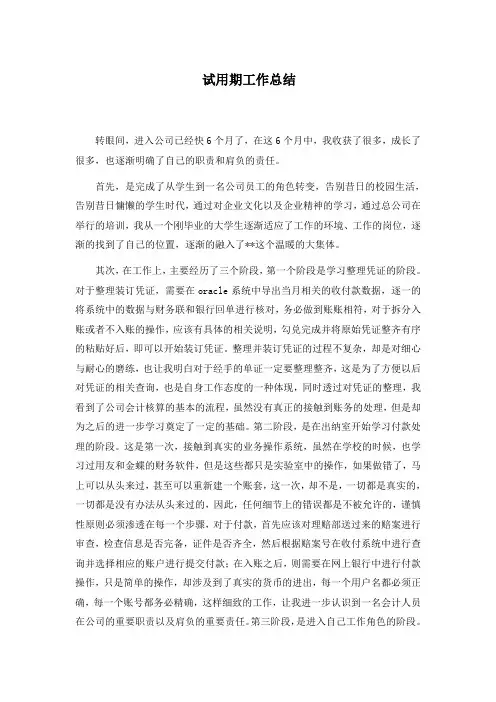 出纳岗试用期工作总结