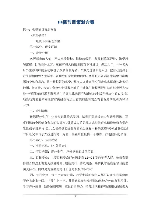 电视节目策划方案 2