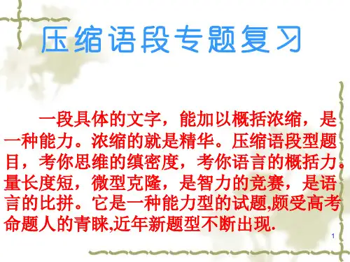 高考复习压缩语段专题复习