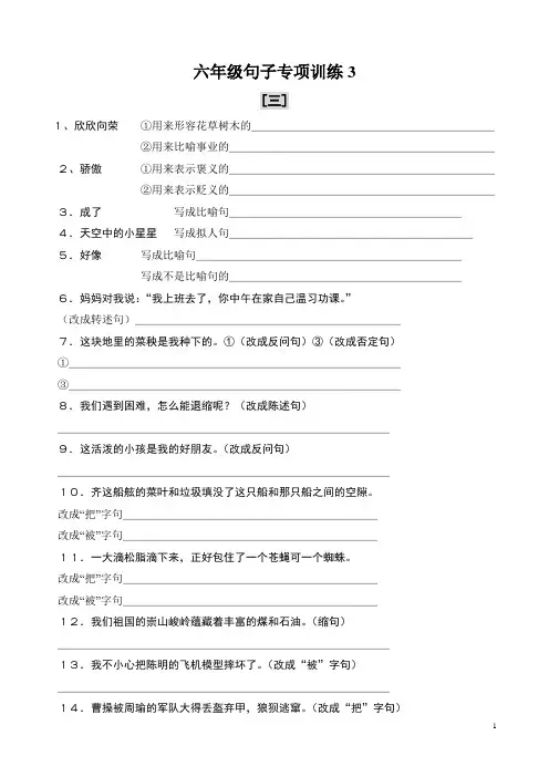 六年级句子专项训练2