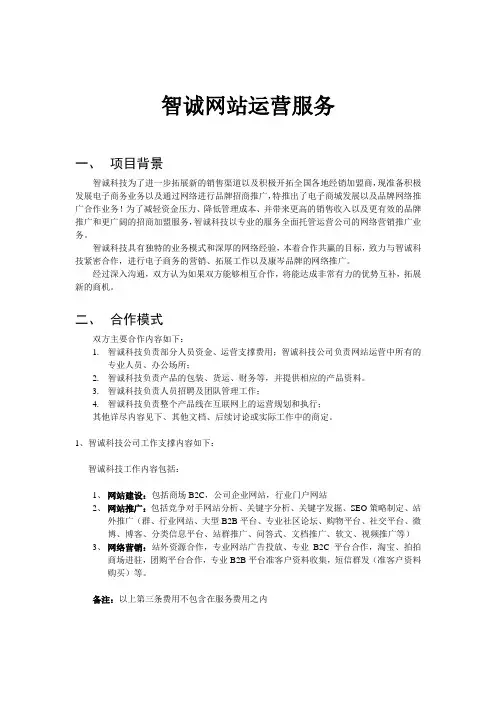 电商电子商务网站代运营方案