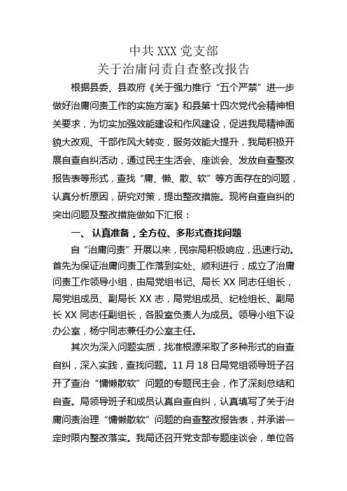 党支部自查整改报告