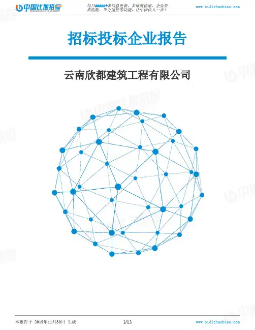 云南欣都建筑工程有限公司-招投标数据分析报告